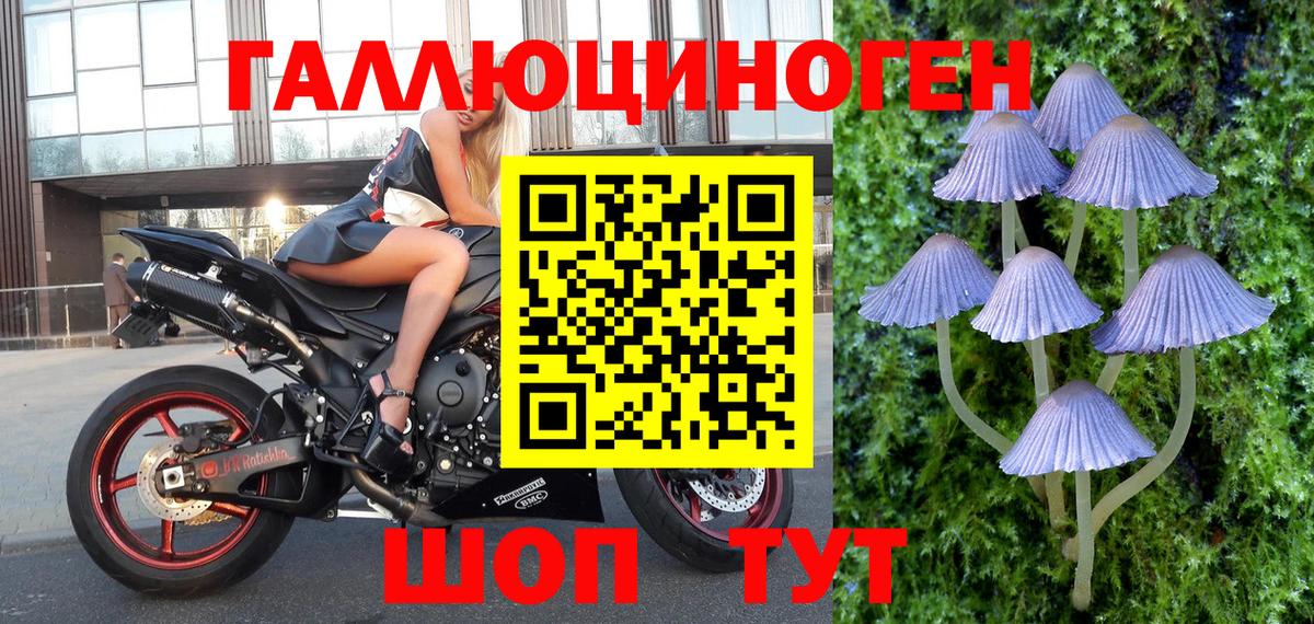 Чебаркуль  закладка  Вход с VPN  Псилоцибиновые грибы прущие грибы 